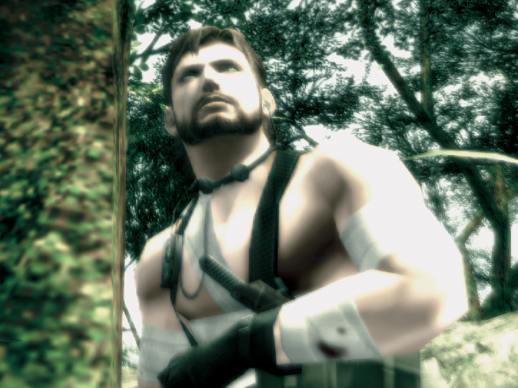 Metal Gear Solid 3: Snake Eater desktop wallpaper | 15 of 38 ...