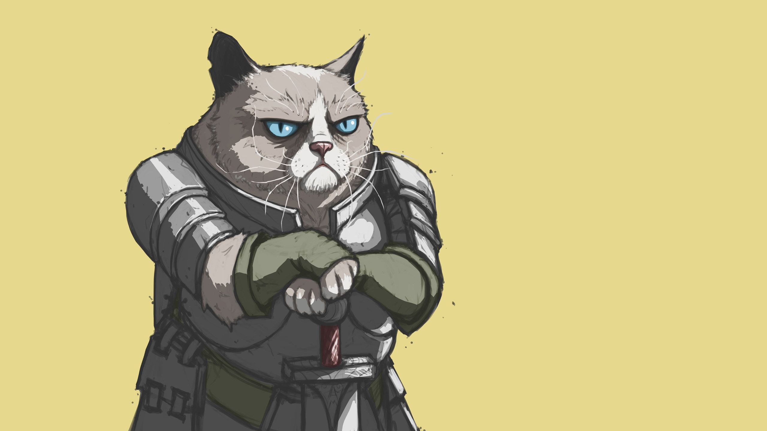 Grumpy-Cat-As-A-Knight-Wallpaper.jpg