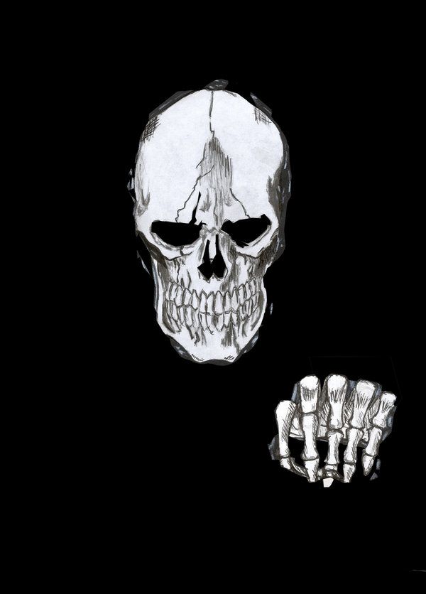 Head skeleton by Lucas1996 on DeviantArt