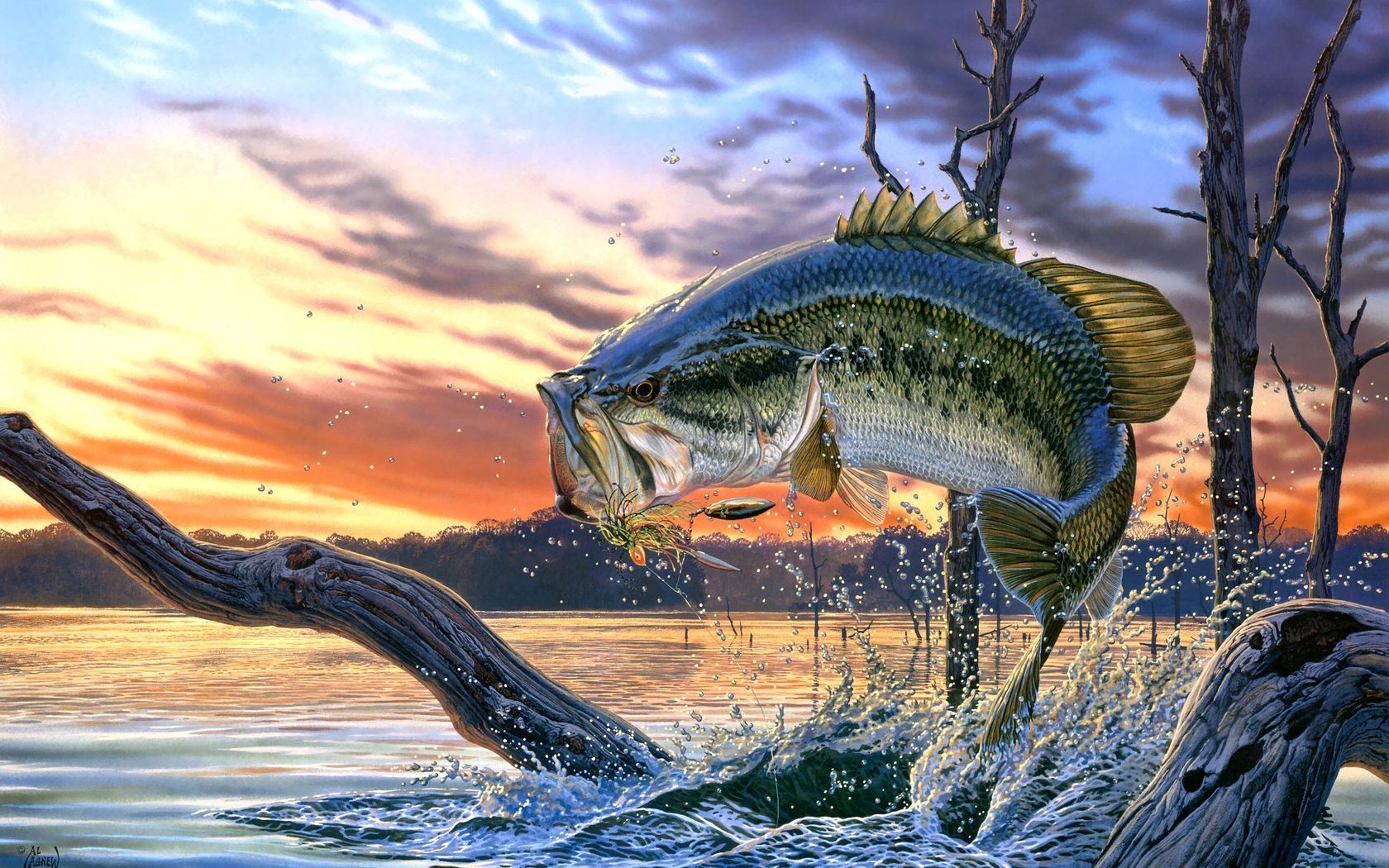 Desktop fishing background wallpaper