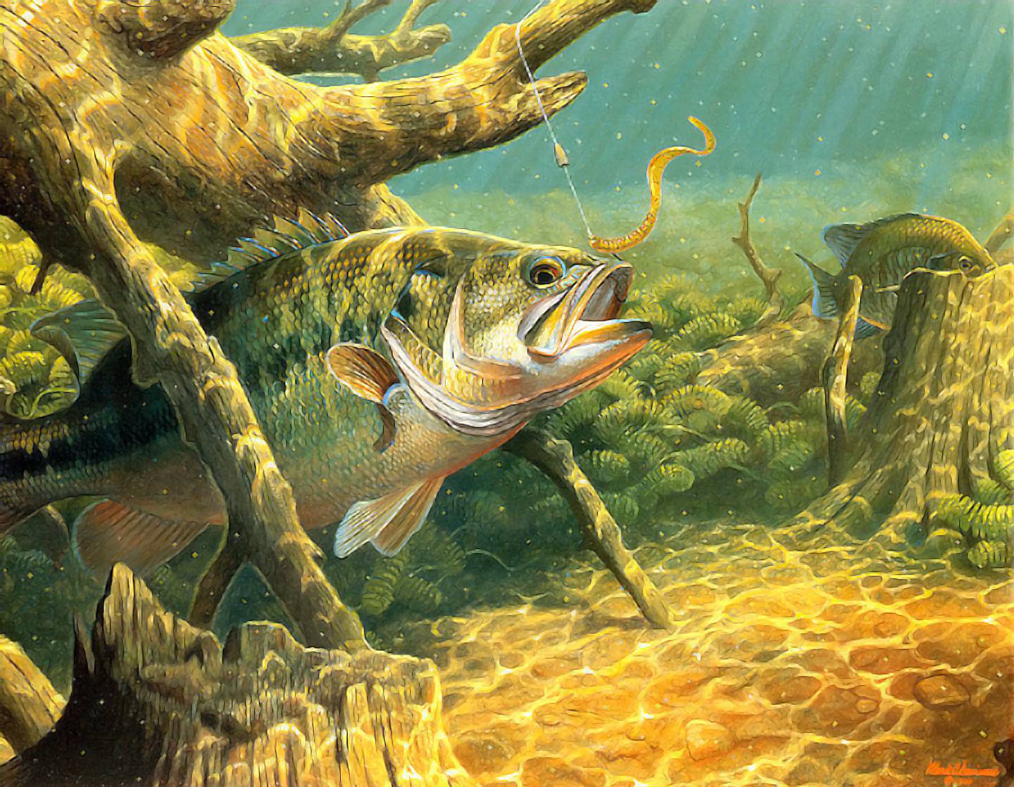 wallpaper: Bowfishing Wallpaper