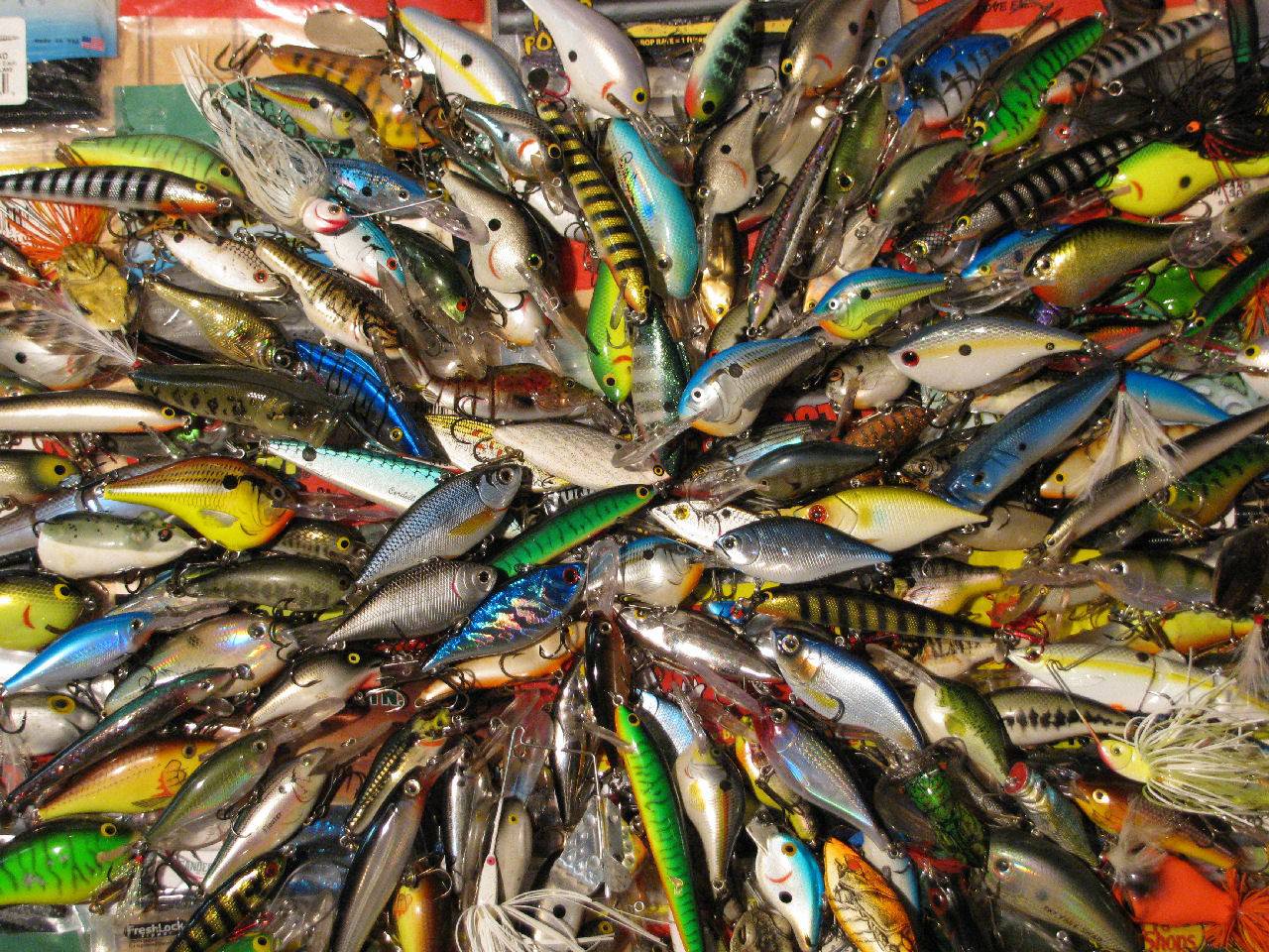 Creo Media fish fishing vivid colors lure fishing gear wallpaper