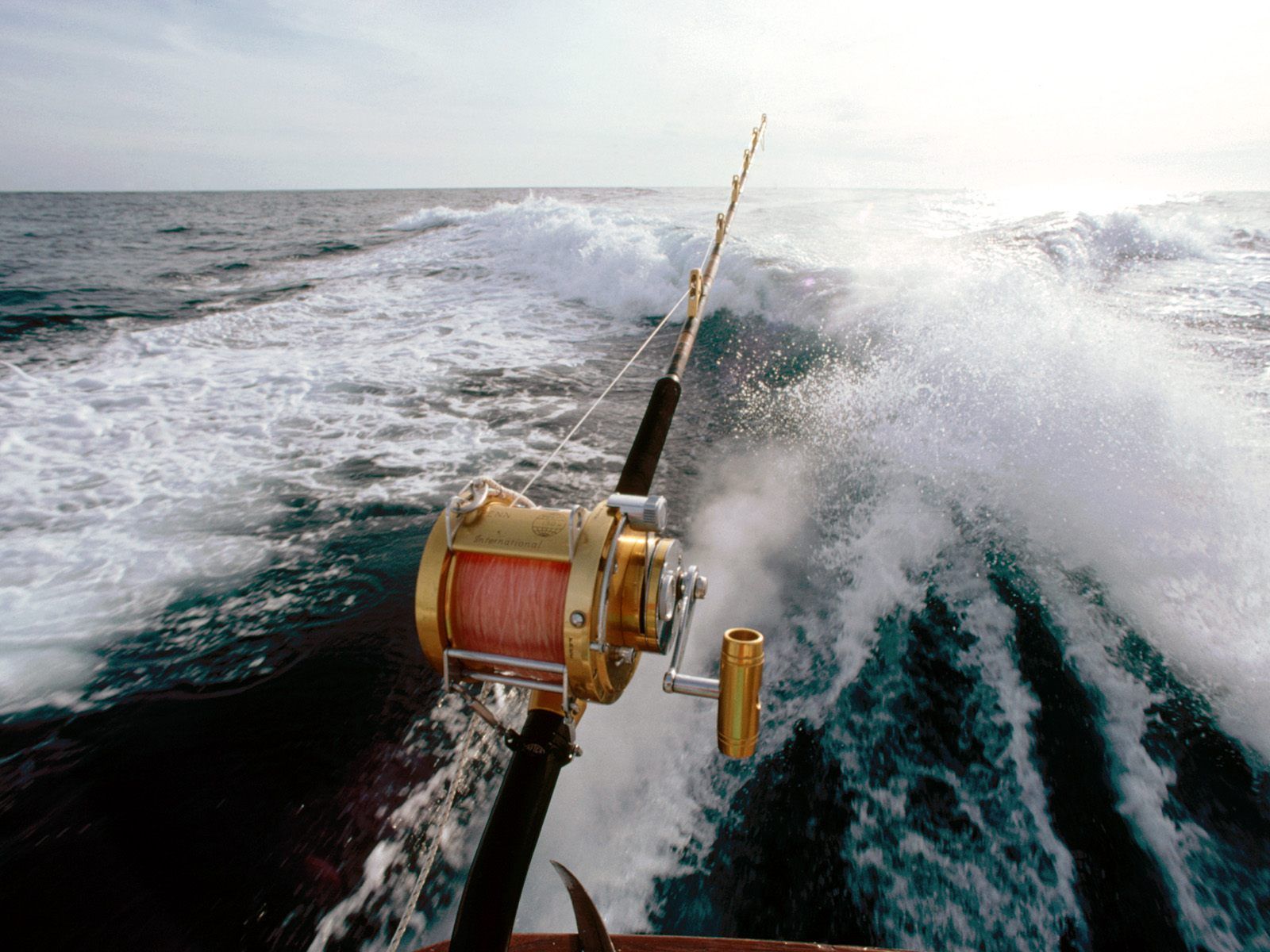 Sport fishing wallpapers and images - wallpapers, pictures, photos