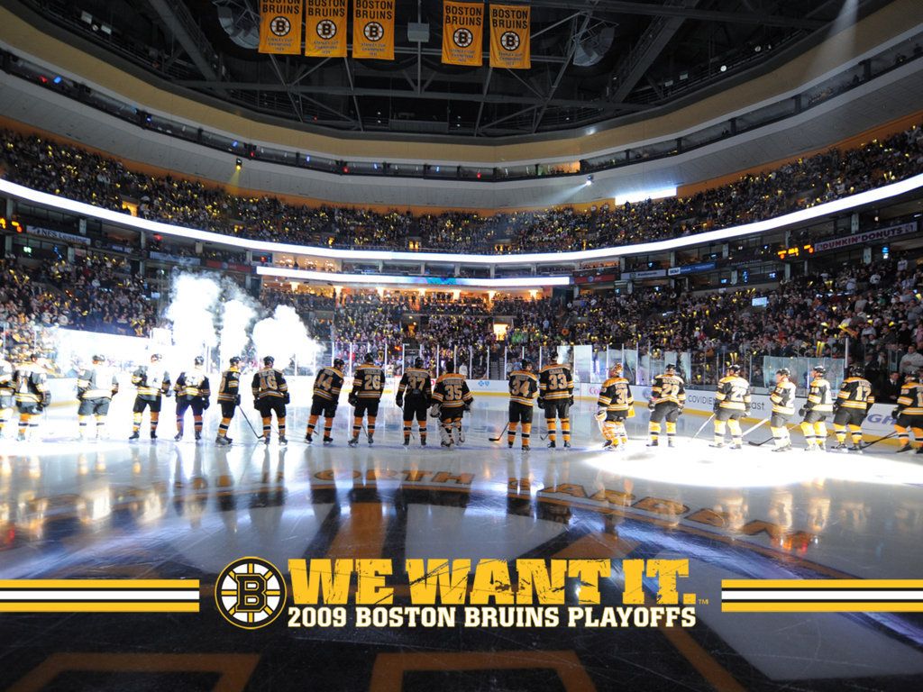 Bruins wallpapers free