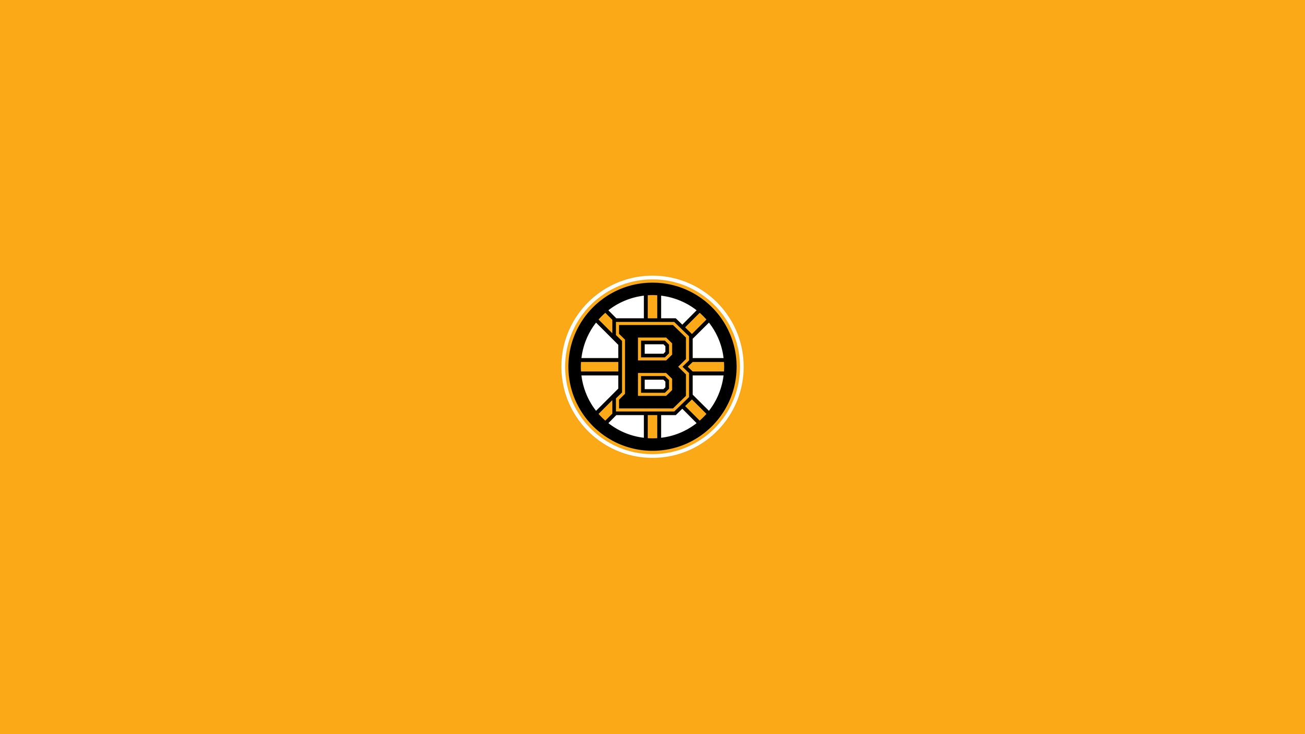 BOSTON BRUINS nhl hockey (3) wallpaper | 2560x1440 | 336433 ...