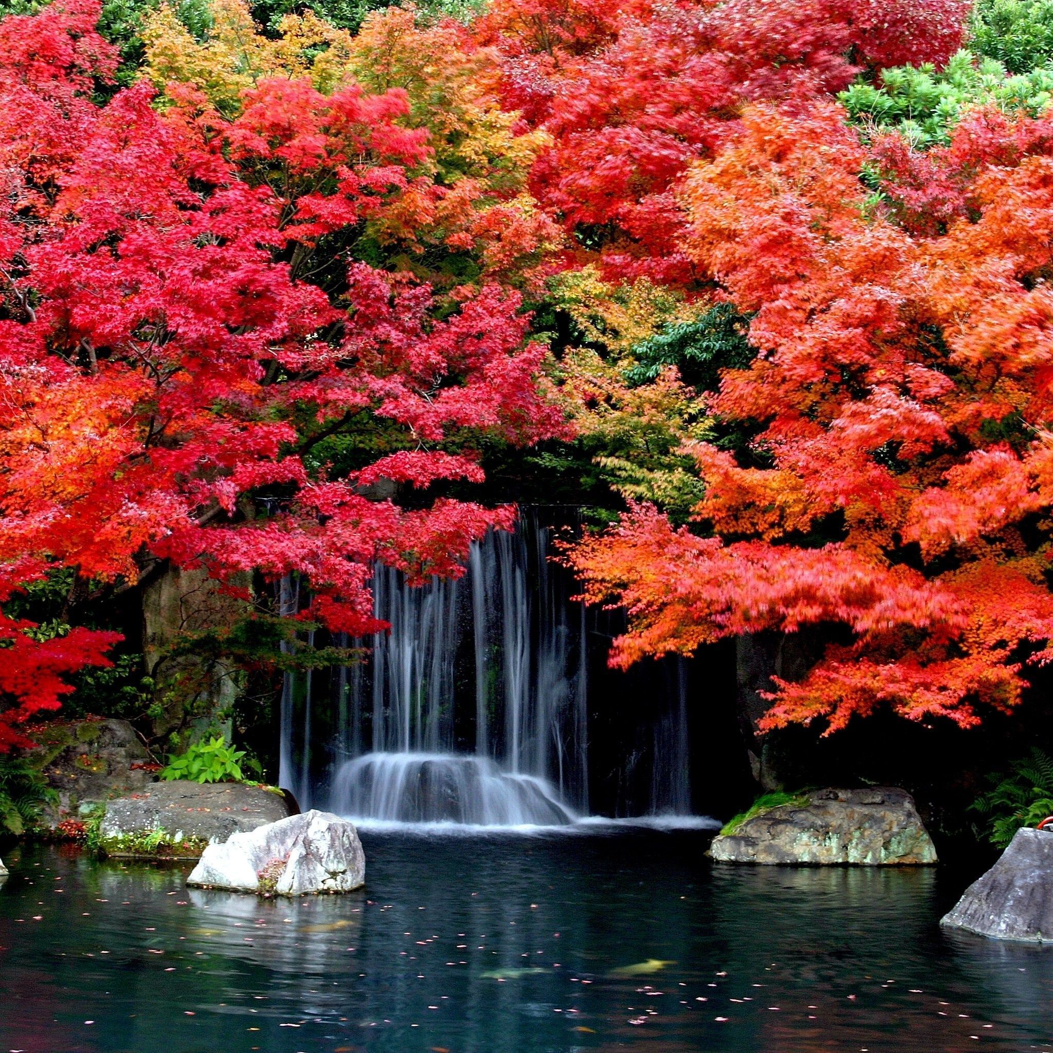 Cool Autumn Waterfall iPad Air Wallpaper Download | iPhone ...