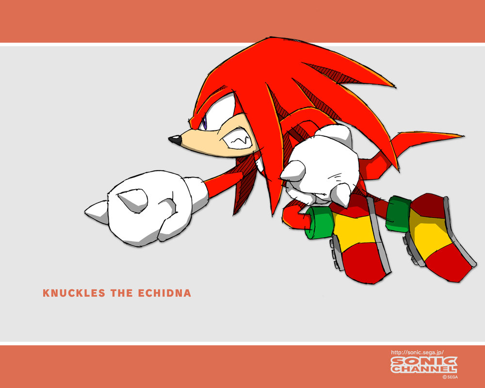 Knuckles the Echidna Wallpaper by bloomsama on DeviantArt