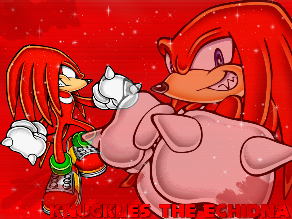 Wallpaper Knuckles The Echidna by NatouMJSonic on DeviantArt