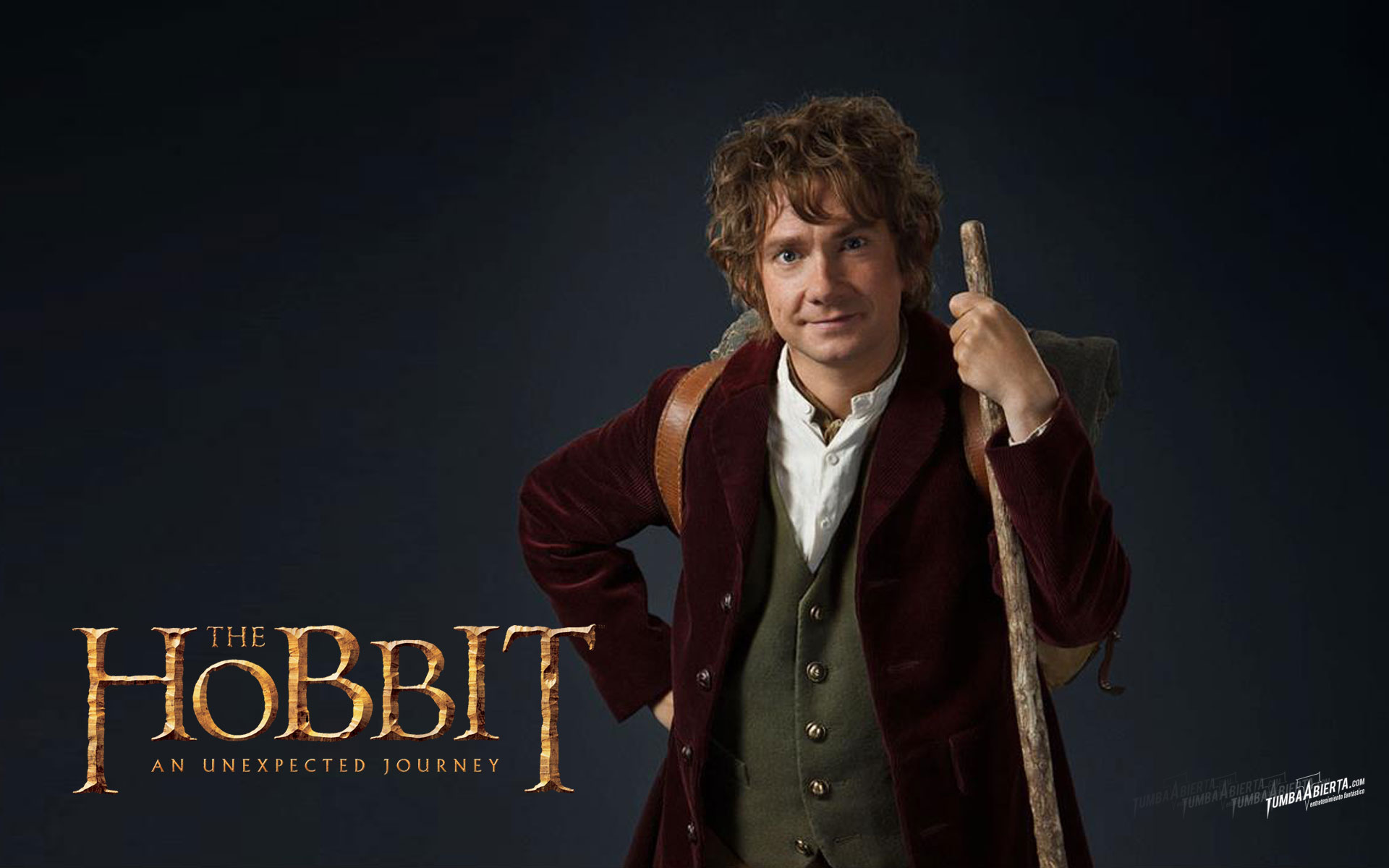 The Hobbit Bilbo Widescreen Wallpapers Movies Wallpaper - Semrawut