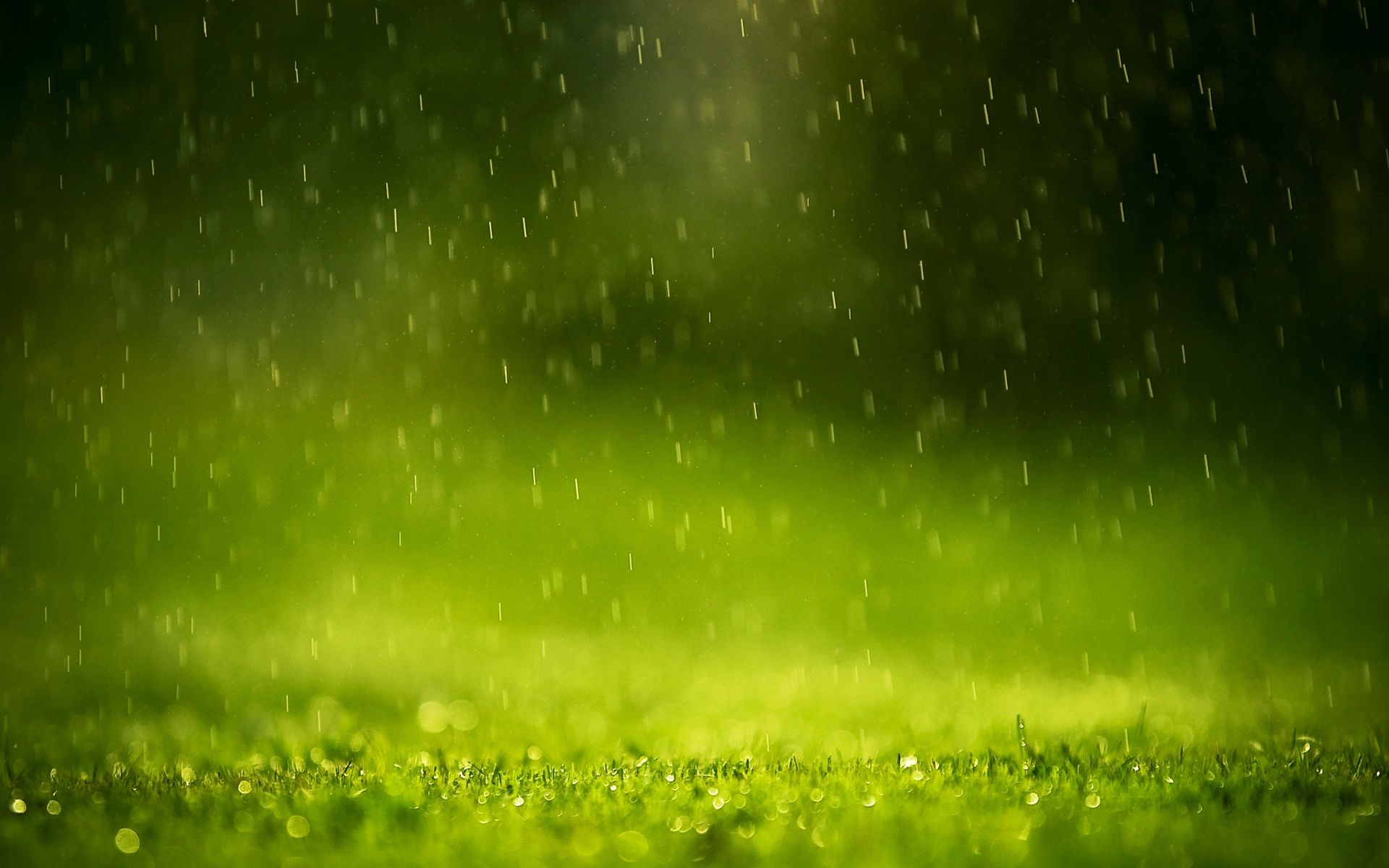 Rain Falling | HD Wallpapers | Pictures | Images | Backgrounds ...