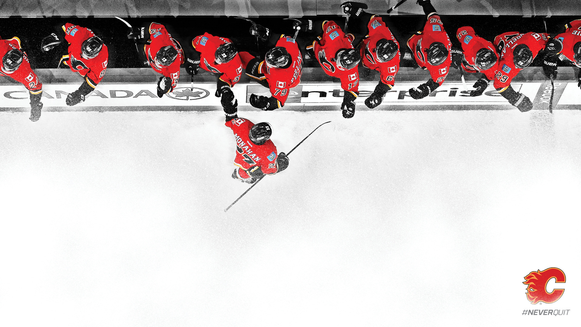 Calgary Flames 2015/2016 Roster | Slapshot Dynasty