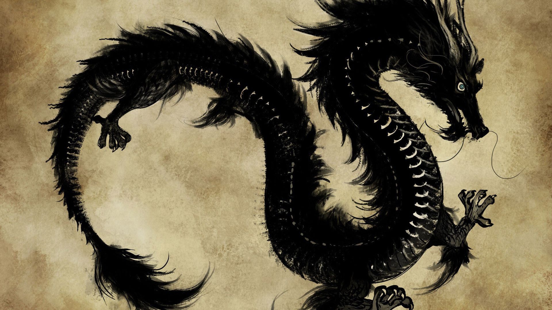 Black chinese dragon wallpapers