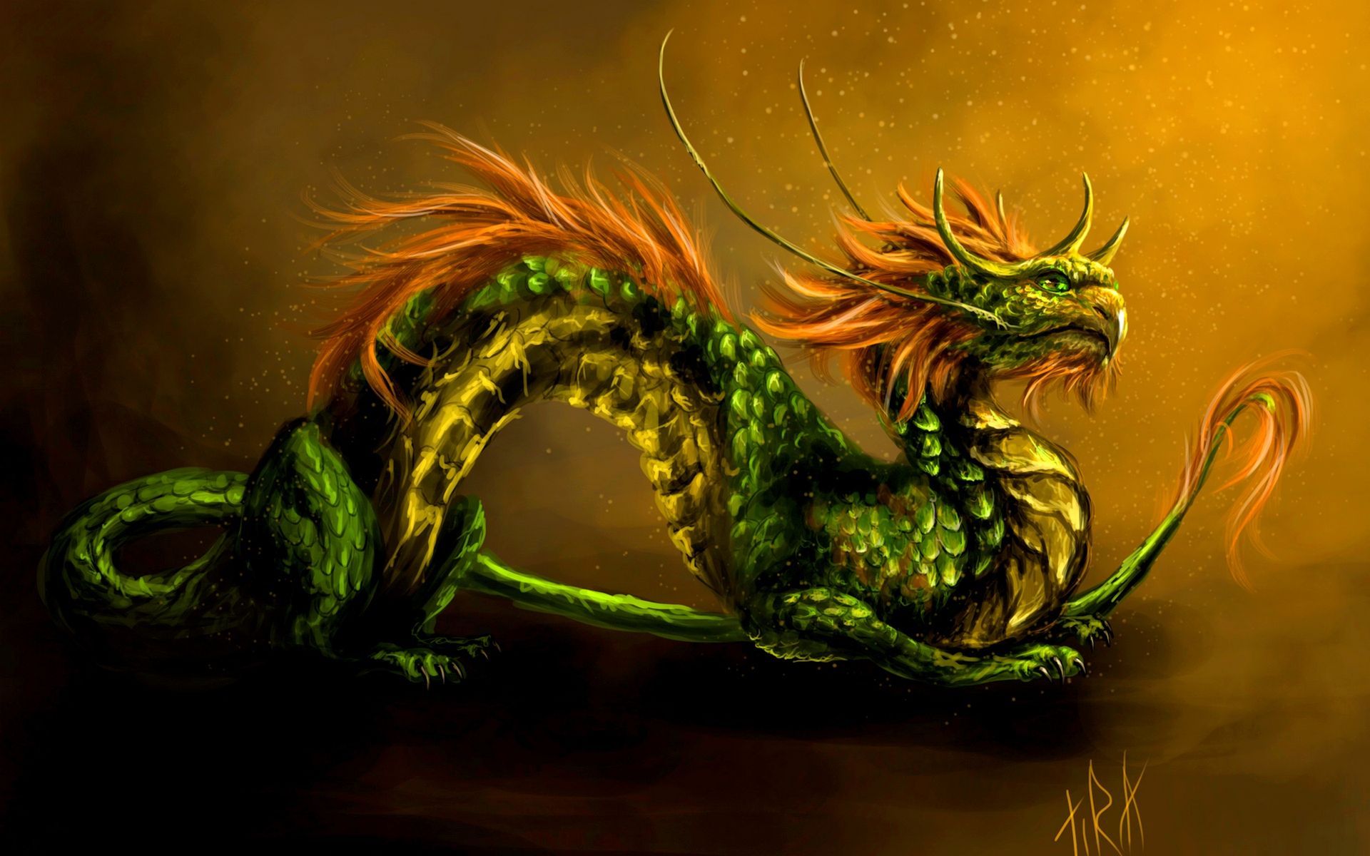 Green Dragon HD Backgrounds