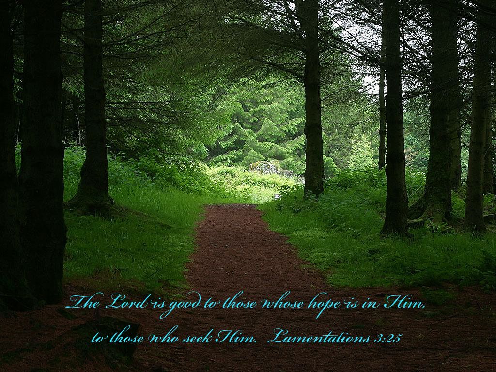 Lamentations 3:25 - God is Good Wallpaper - Christian Wallpapers ...