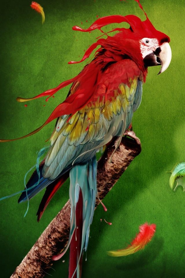 Flying Birds Iphone 4 Wallpapers Free 640x960 Best Hd Iphone 4 ...
