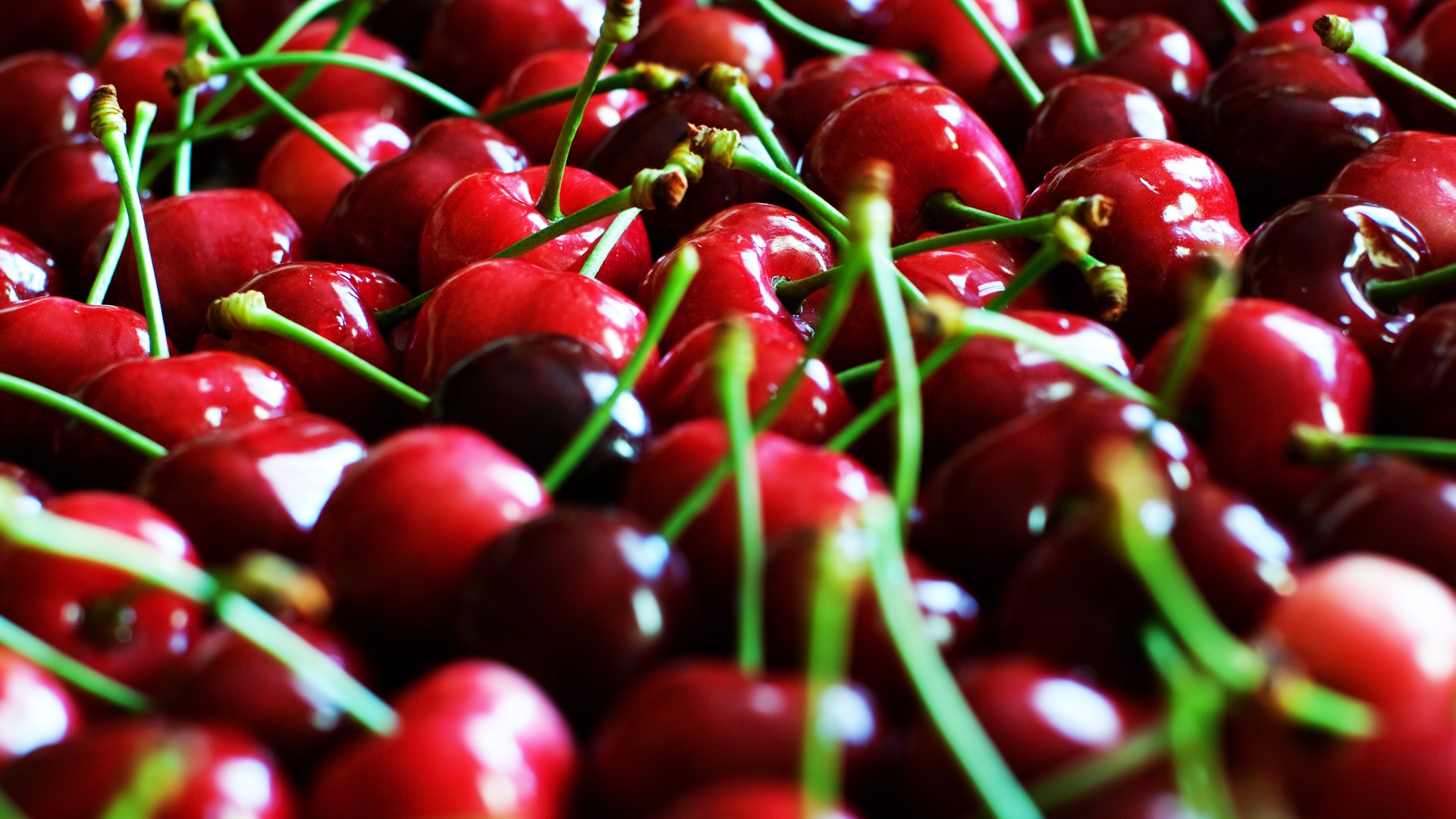 Cherry Wallpaper Collection (42+)