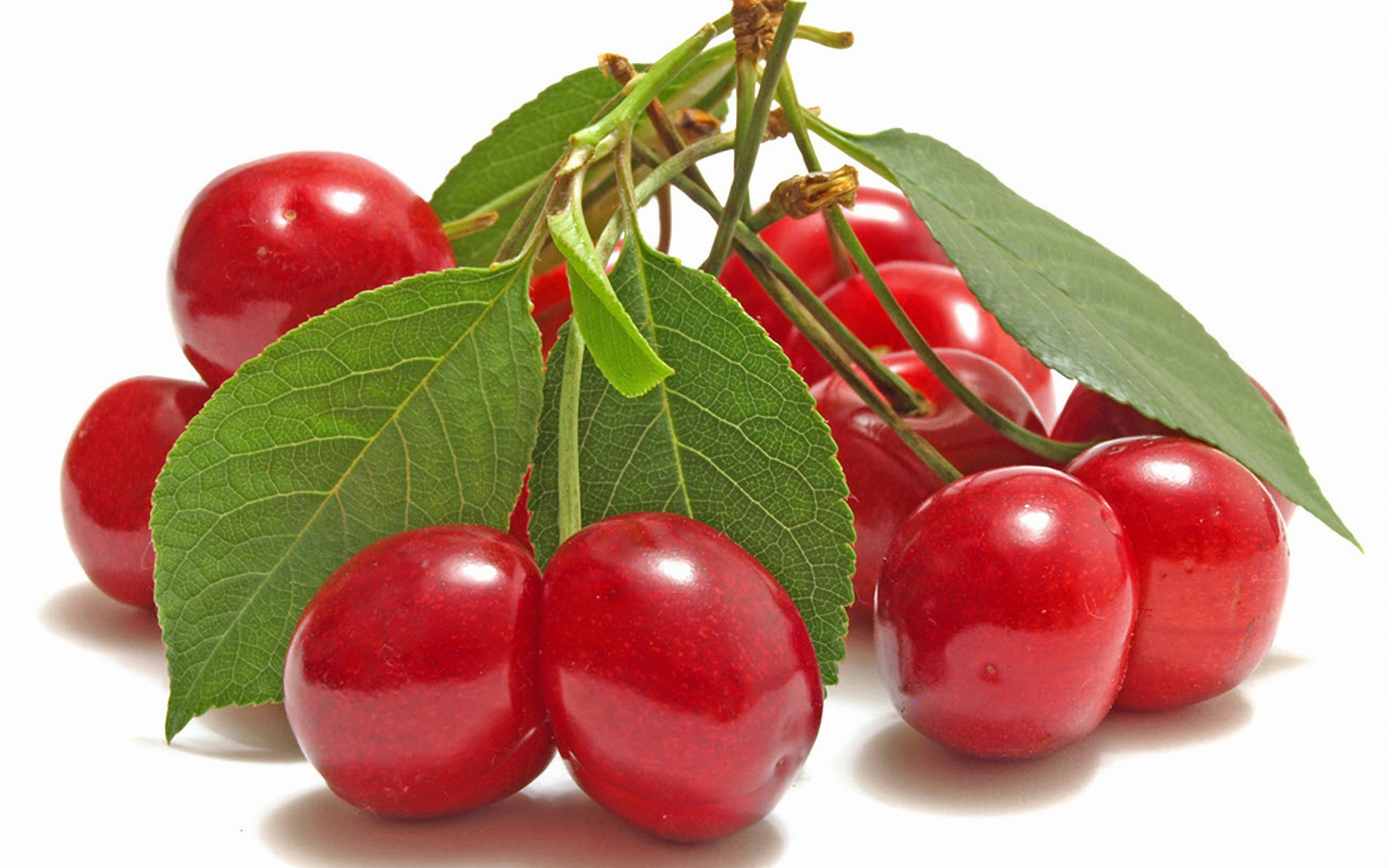 122 Cherry HD Wallpapers | Backgrounds - Wallpaper Abyss