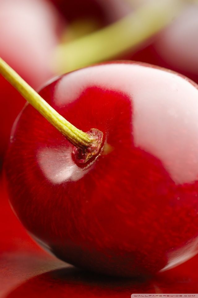 Cherry Wallpapers | Hd Wallpapers