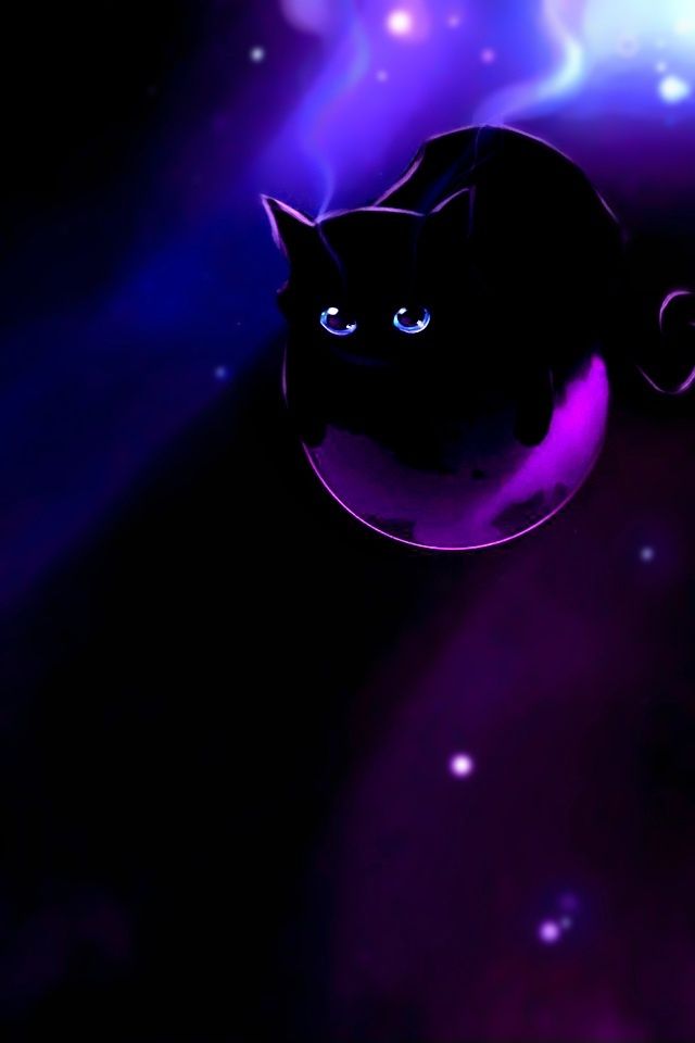 Purple cat Deep purple cat, iPhone Wallpaper, iPod Touch