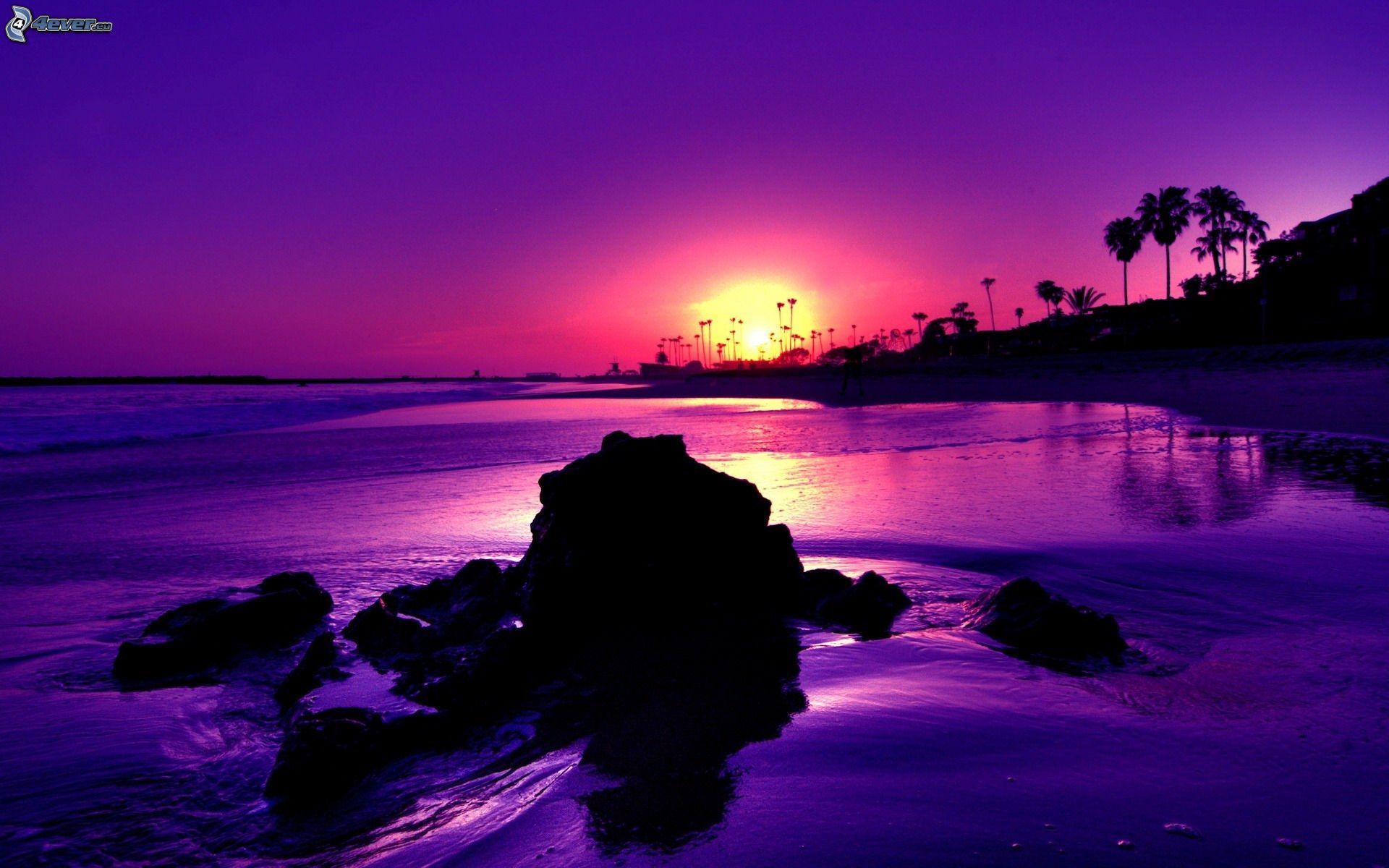 Purple Ocean Sunset - wallpaper.