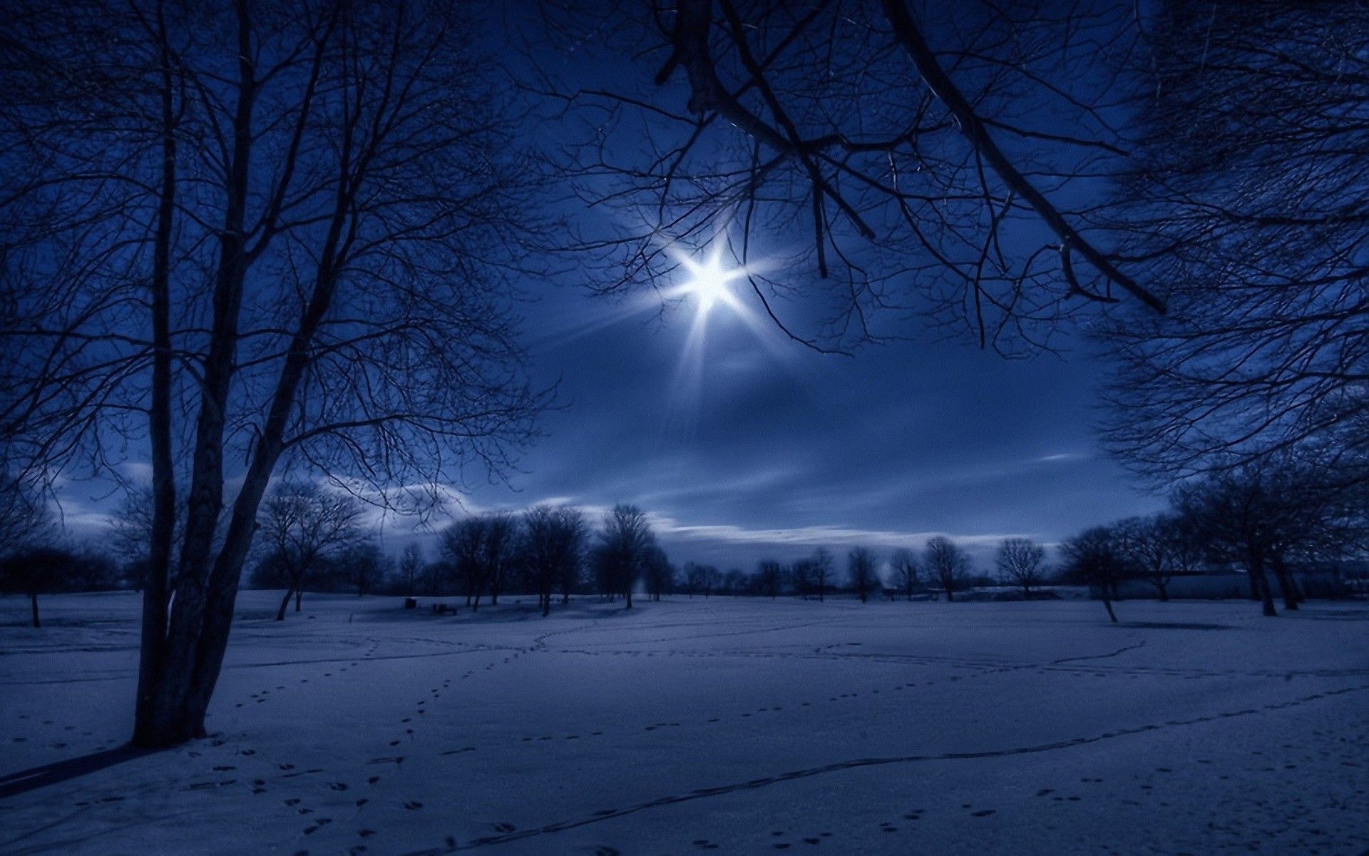 Winter Night Hd Wallpaper, Winter Night Images, New Backgrounds