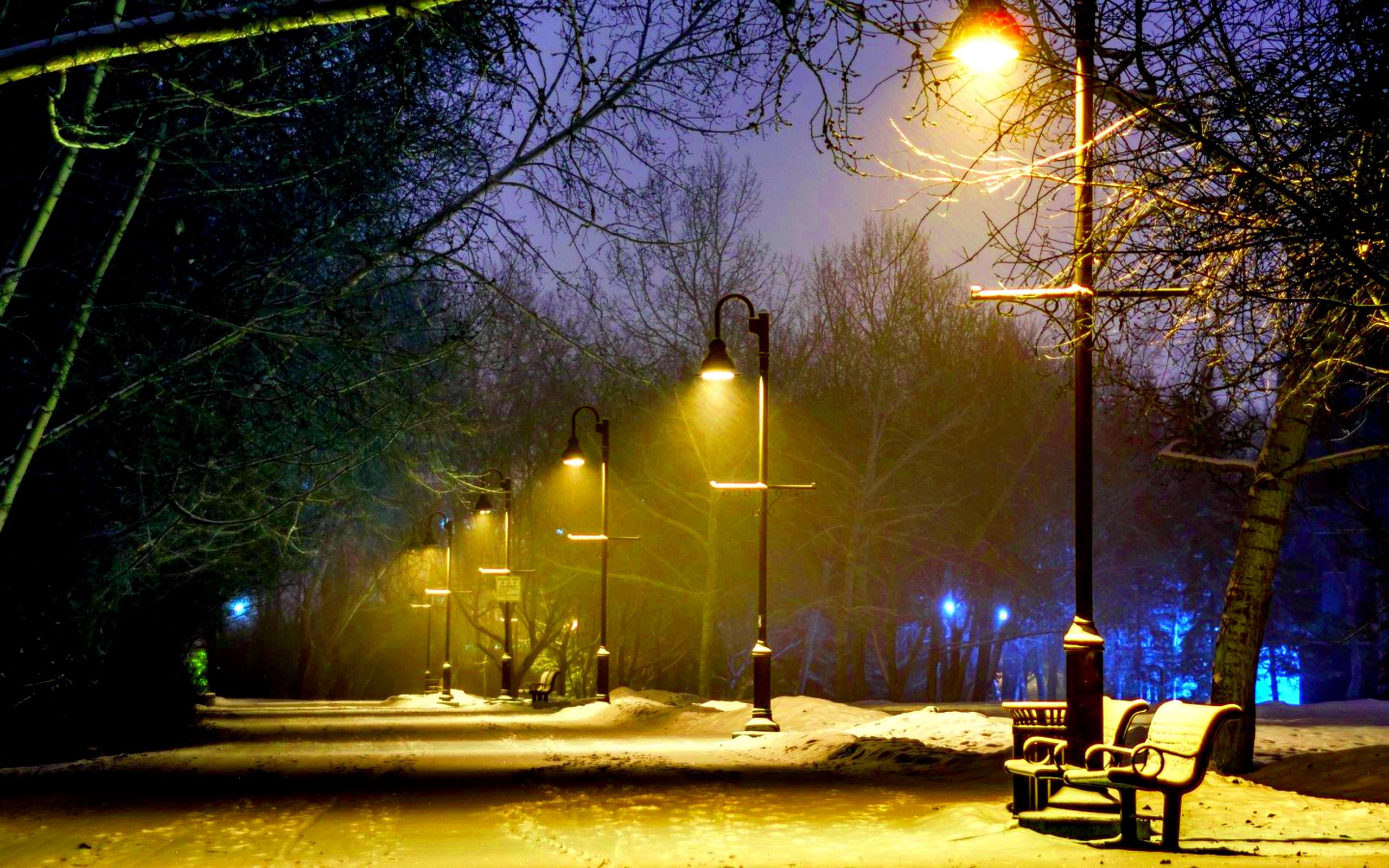 Park At Winter Night HD Wallpaper, get it now
