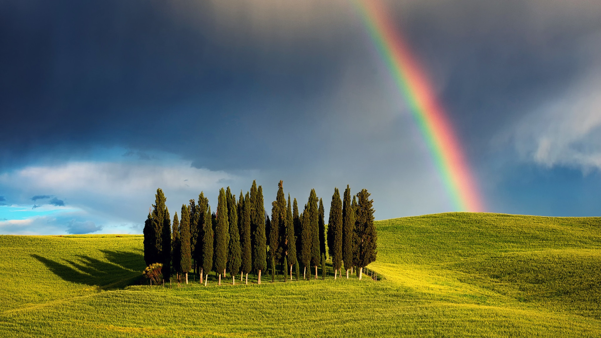 Rainbow, Cypress Hill, Tuscany, Italy - HD wallpaper download ...