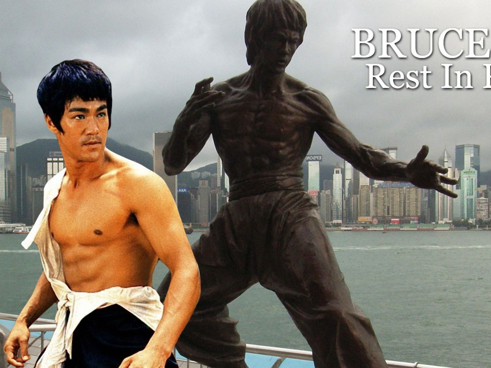 Bruce lee caricature Wallpapers - Free bruce lee caricature