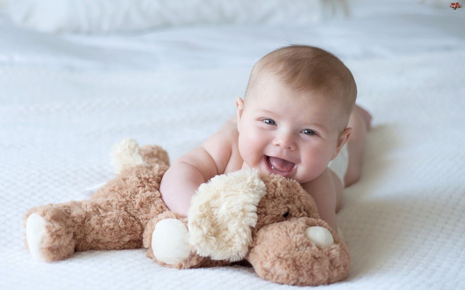 cute baby images for wallpaper Download