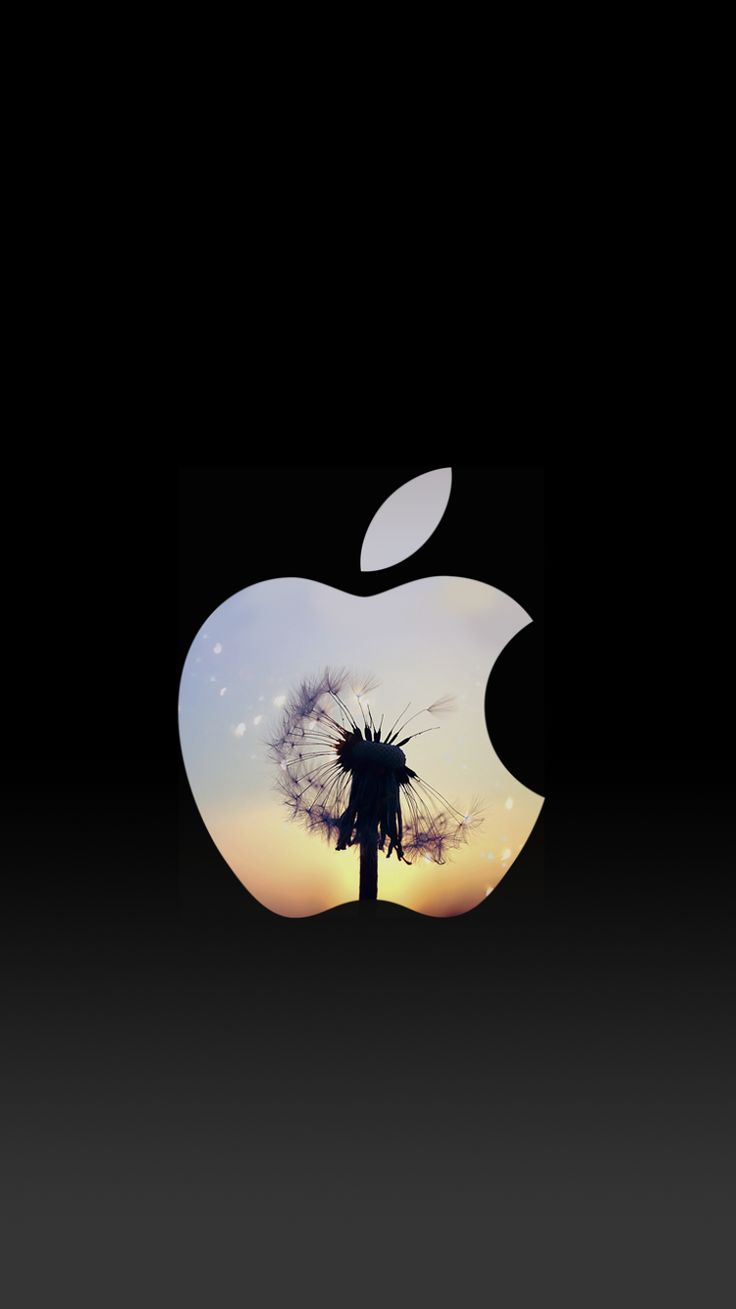 Dandelion Sunset Apple Logo iPhone 6 Lock Screen Wallpaper ...