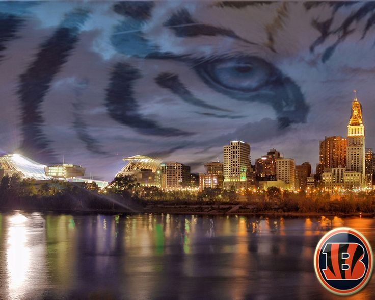Verizon NFL Smartphone Wallpapers | Cincinnati Bengals, Cincinnati ...