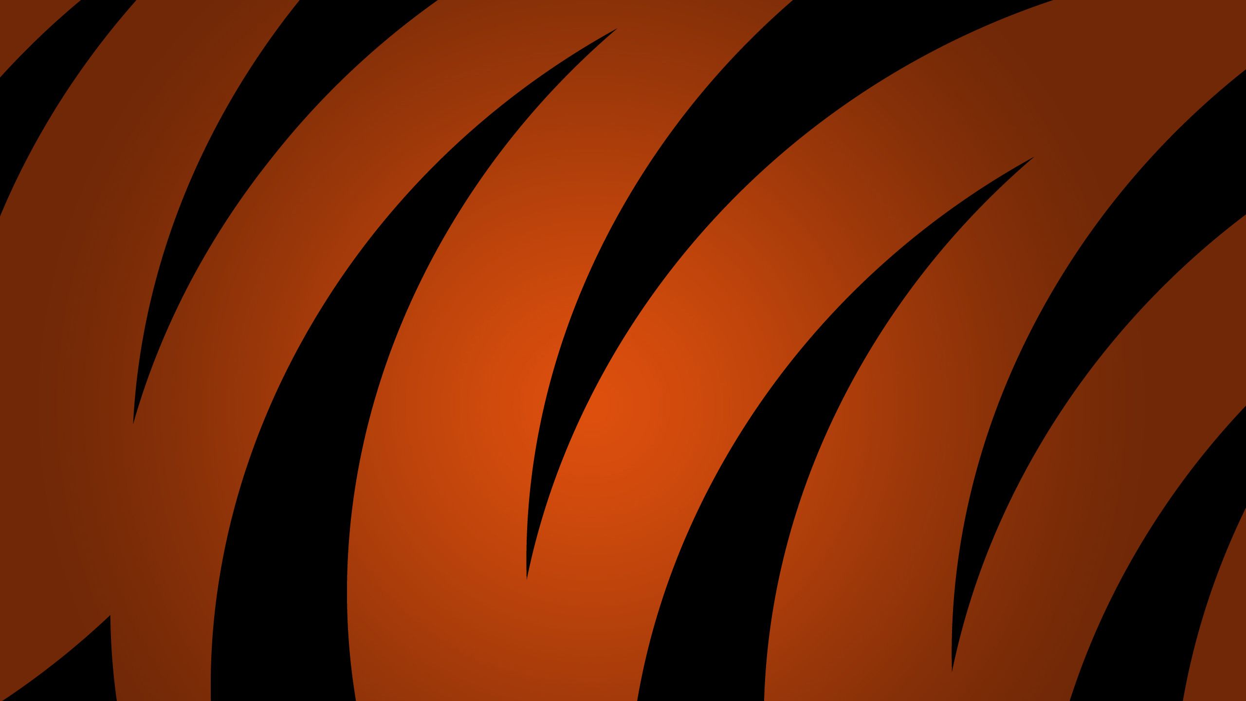 Orange tigers striped texture wallpaper | 2560x1440 | 20502 ...