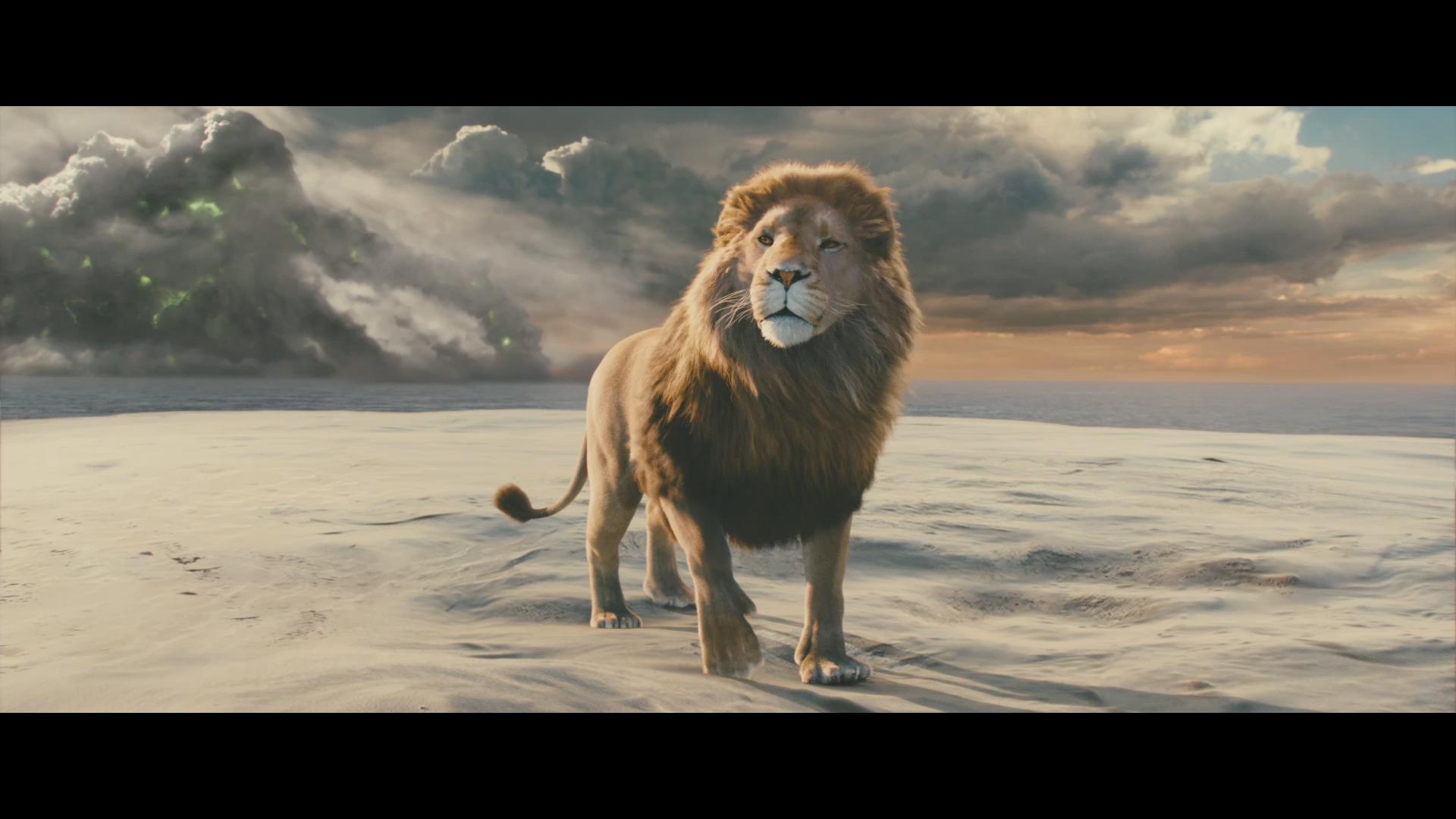 aslan the king of narnia - Aslan wallpaper (20650333) - fanpop