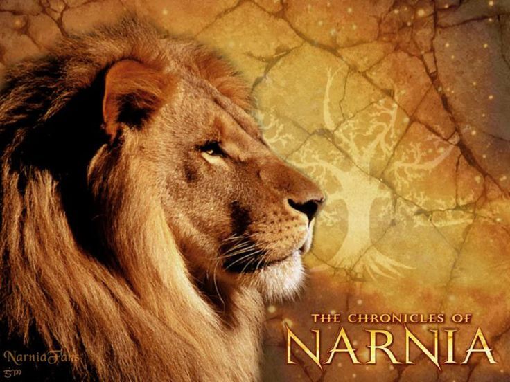 The-Chronicles-of-Narnia--Aslan--_ Wallpaper | fairytales and ...