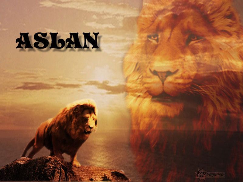 aslan the king of narnia - Aslan Wallpaper (20650333) - Fanpop