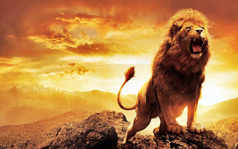 Inspirational Quotes From Aslan Narnia. QuotesGram