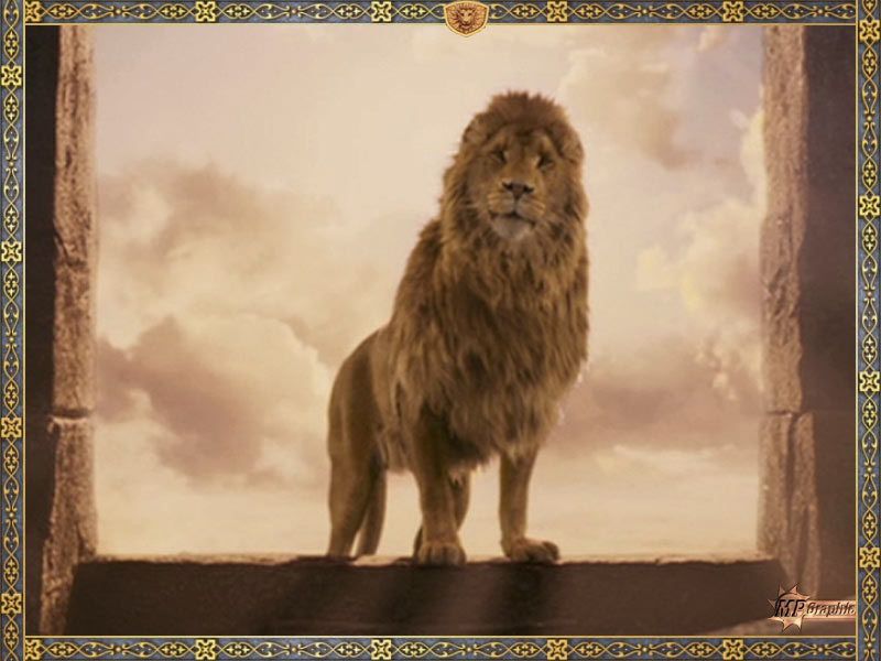 Narnia Aslan HD wallpaper