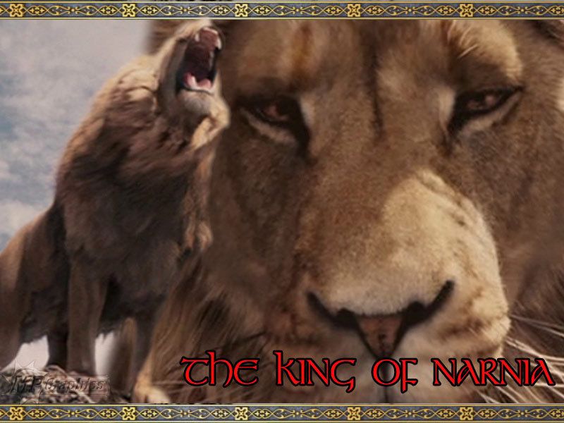 aslan the king of narnia - Aslan Wallpaper (20650332) - Fanpop