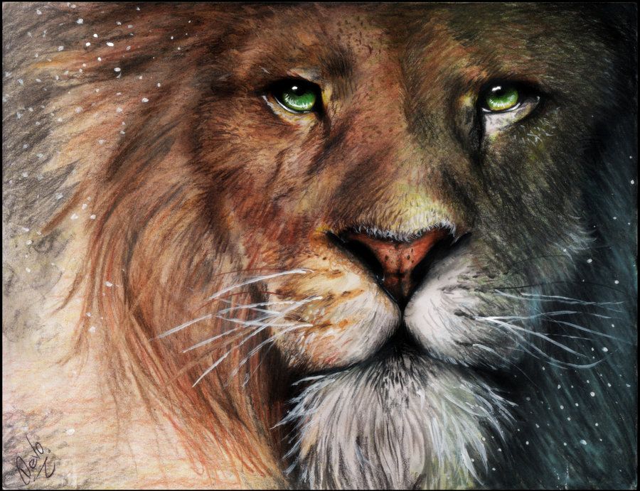 DeviantArt More Like Aslan - Chronicles of Narnia by Devoratus