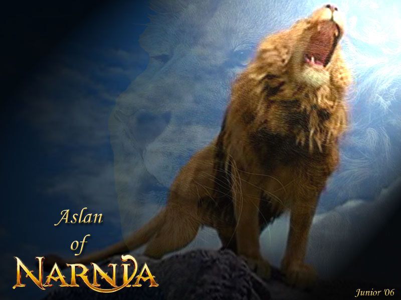 Wallpapers Aslan - Wallpaper Cave