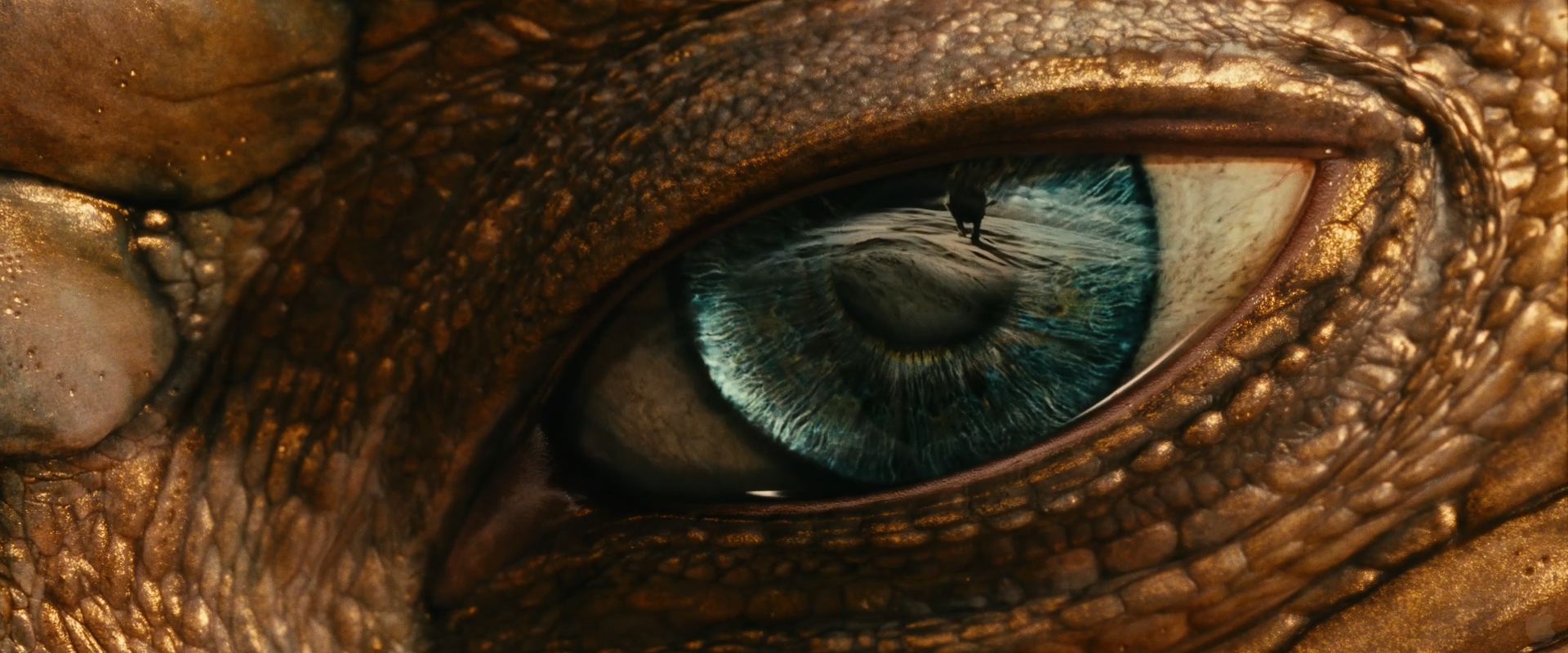 Eye of the Dragon from Chronicles of Narnia Voyage of the Dawn ...