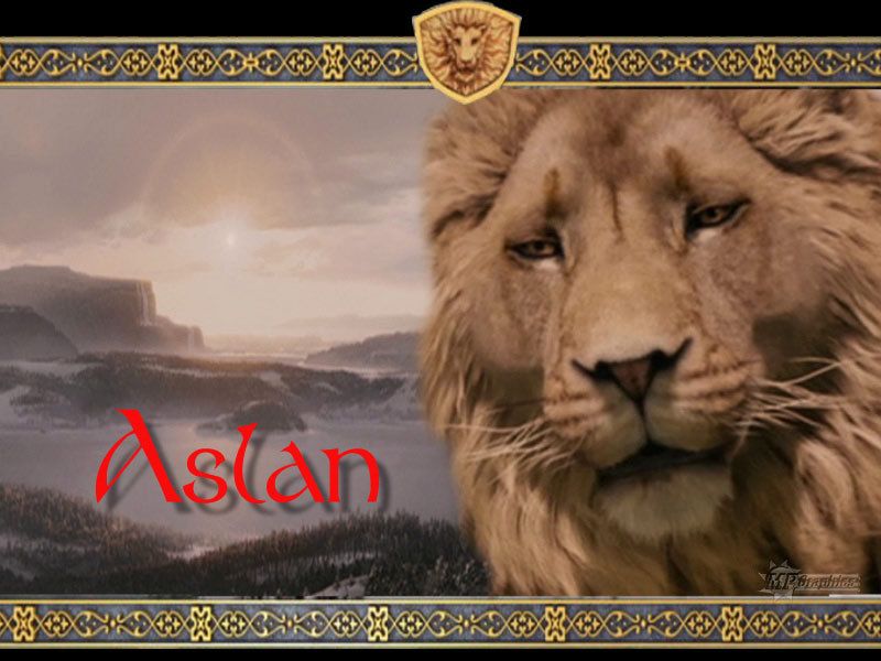 aslan the great - Aslan Wallpaper (20650187) - Fanpop