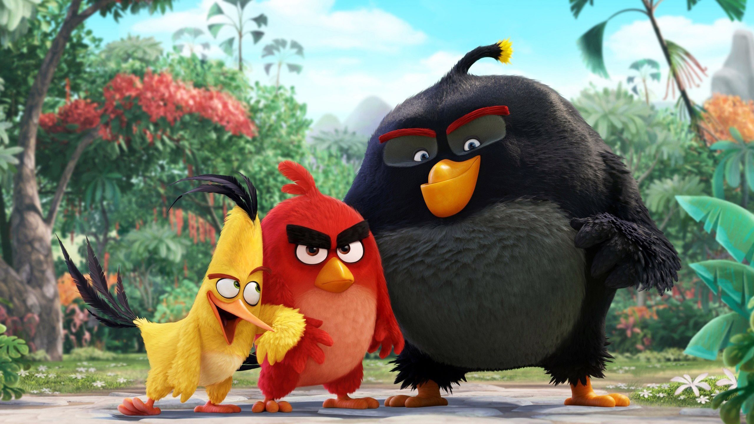 Angry Birds Movie Wallpapers HD Backgrounds