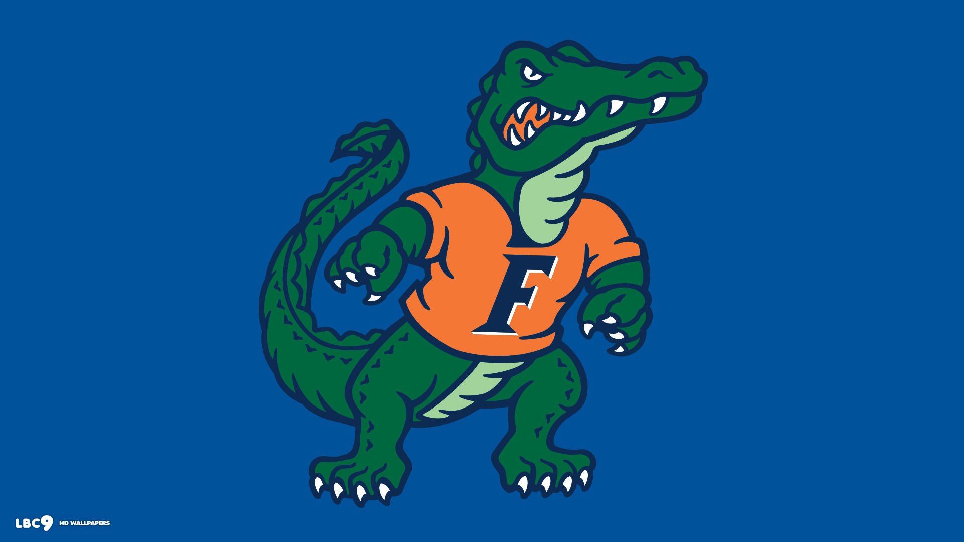 Florida Gators College Football Wallpaper 1920x1080 595510 