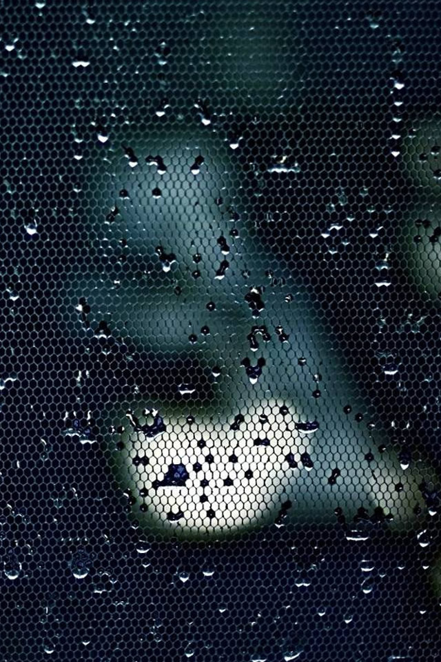 Water Drops On A Mesh iPhone 4s Wallpaper Download | iPhone ...