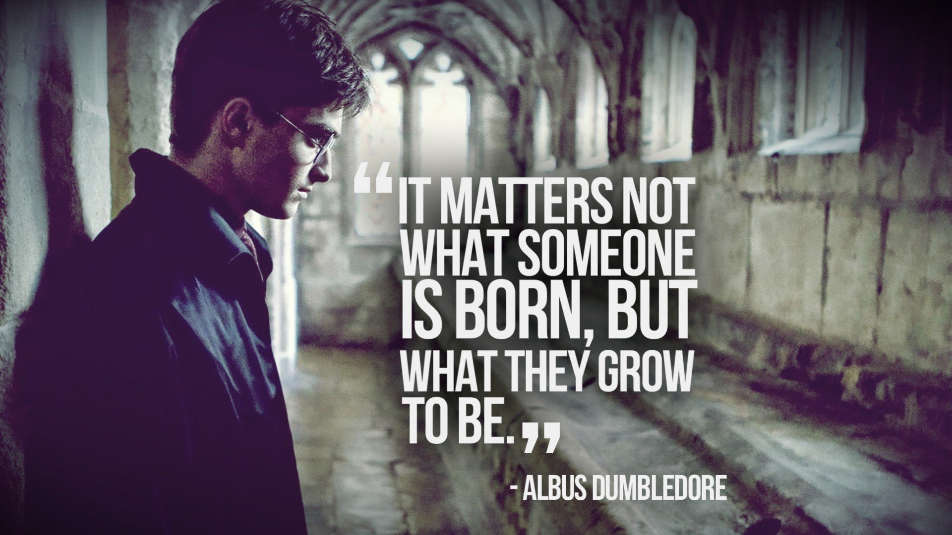 Quotes Harry Potter Daniel Radcliffe Albus Dumbledore wallpaper ...