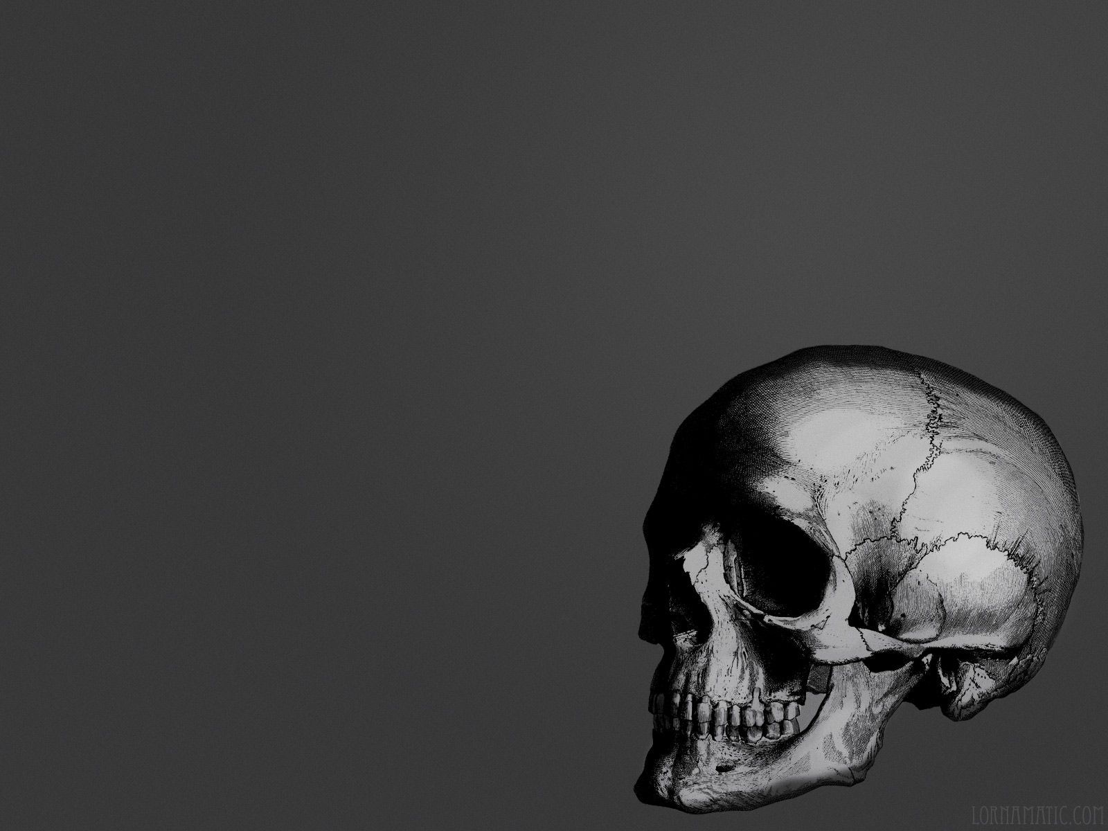 Skulls wallpaper - - High Quality and Resolution