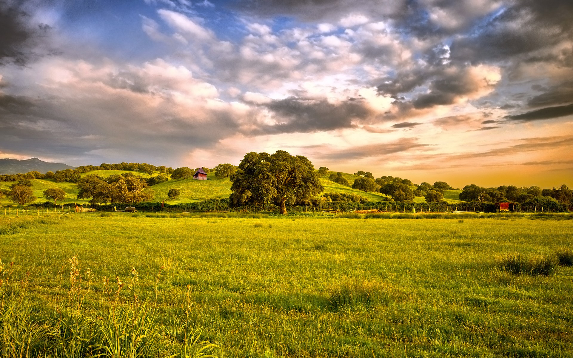 Beautiful green grassland, photography, 1920x1200 HD Wallpaper and ...