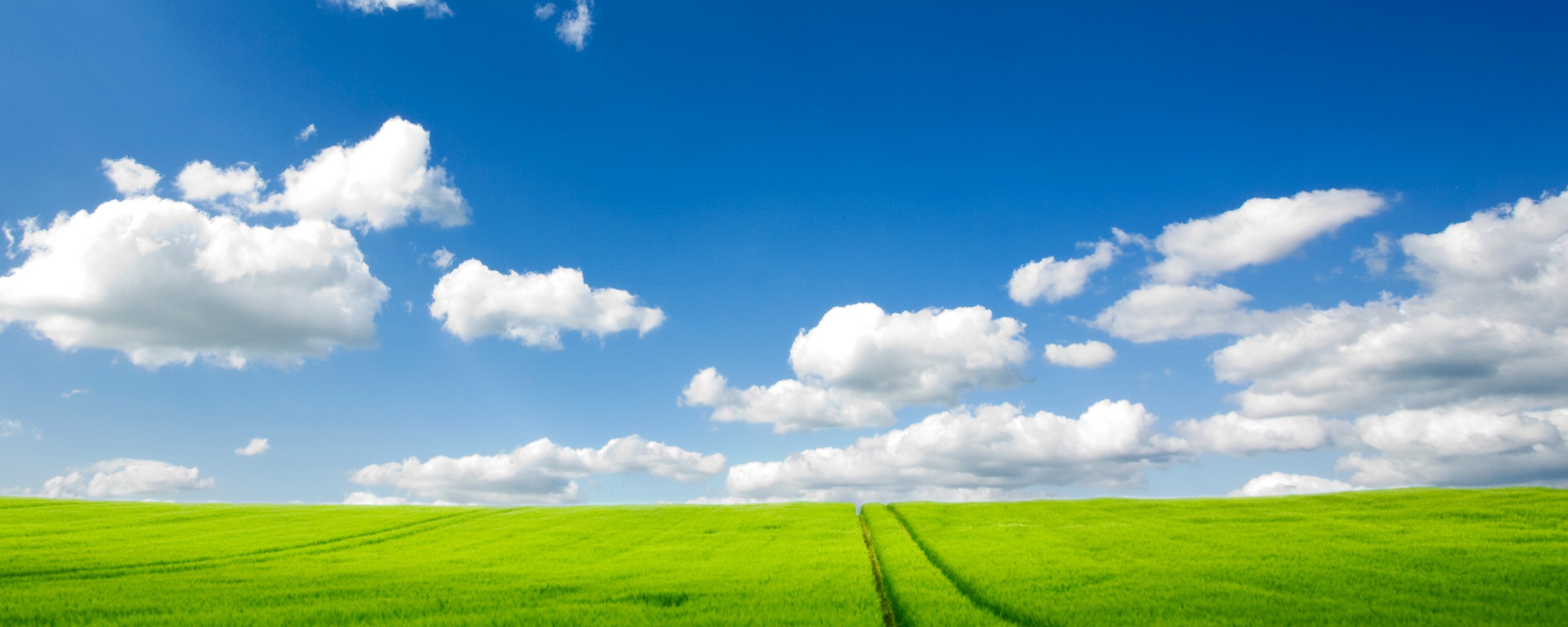 Wallpaper Of The Pure Natural Scenery: Vast Grassland | Free ...