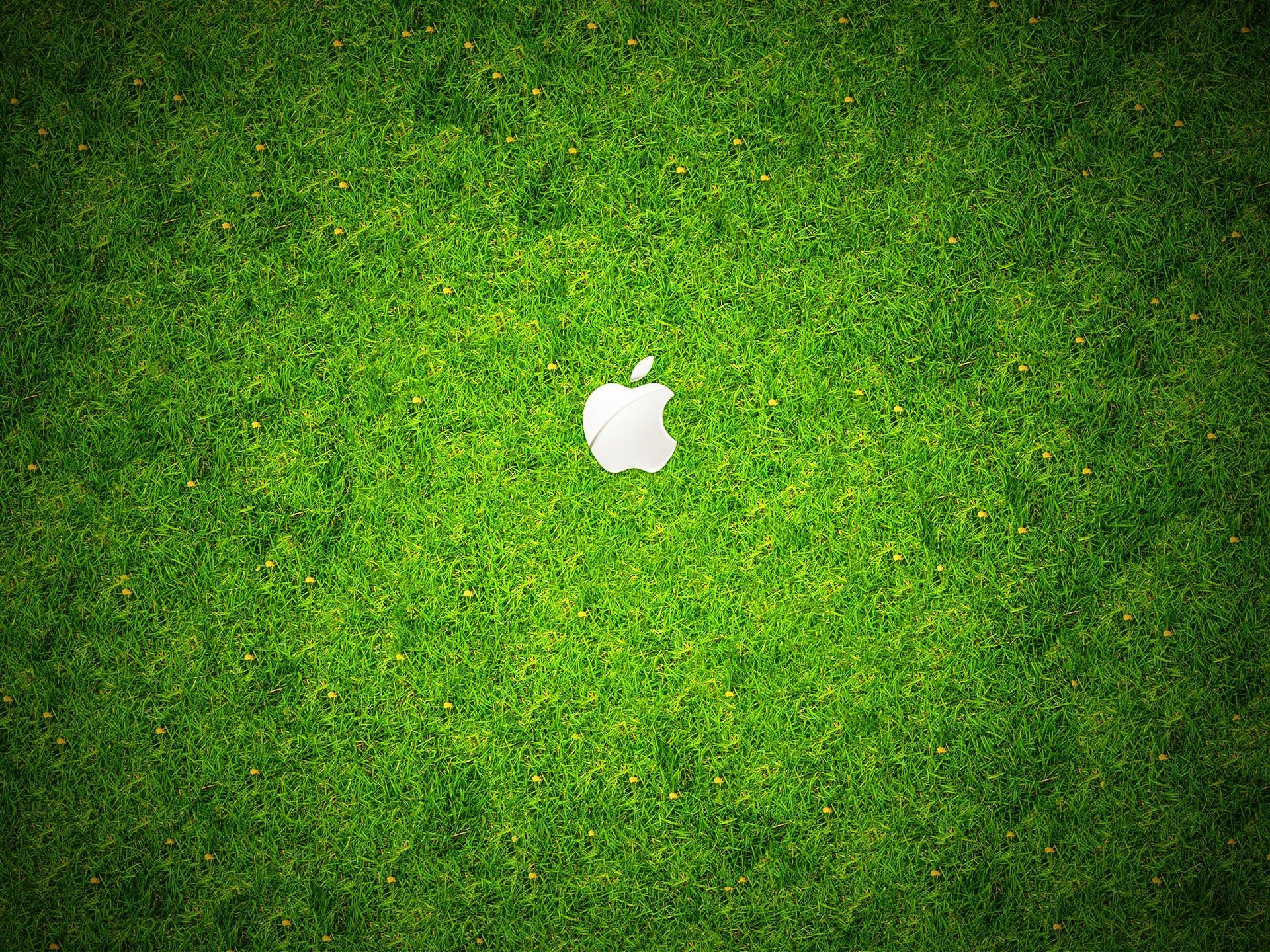 Apple Green Grass wallpapers